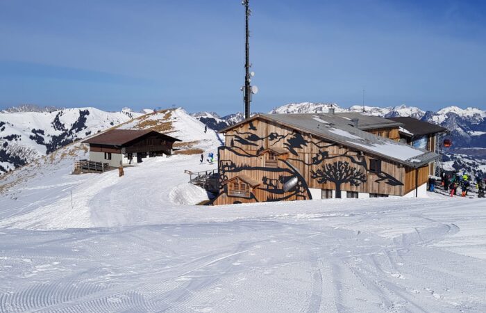 MGW Skiweekend Saanenland 2020